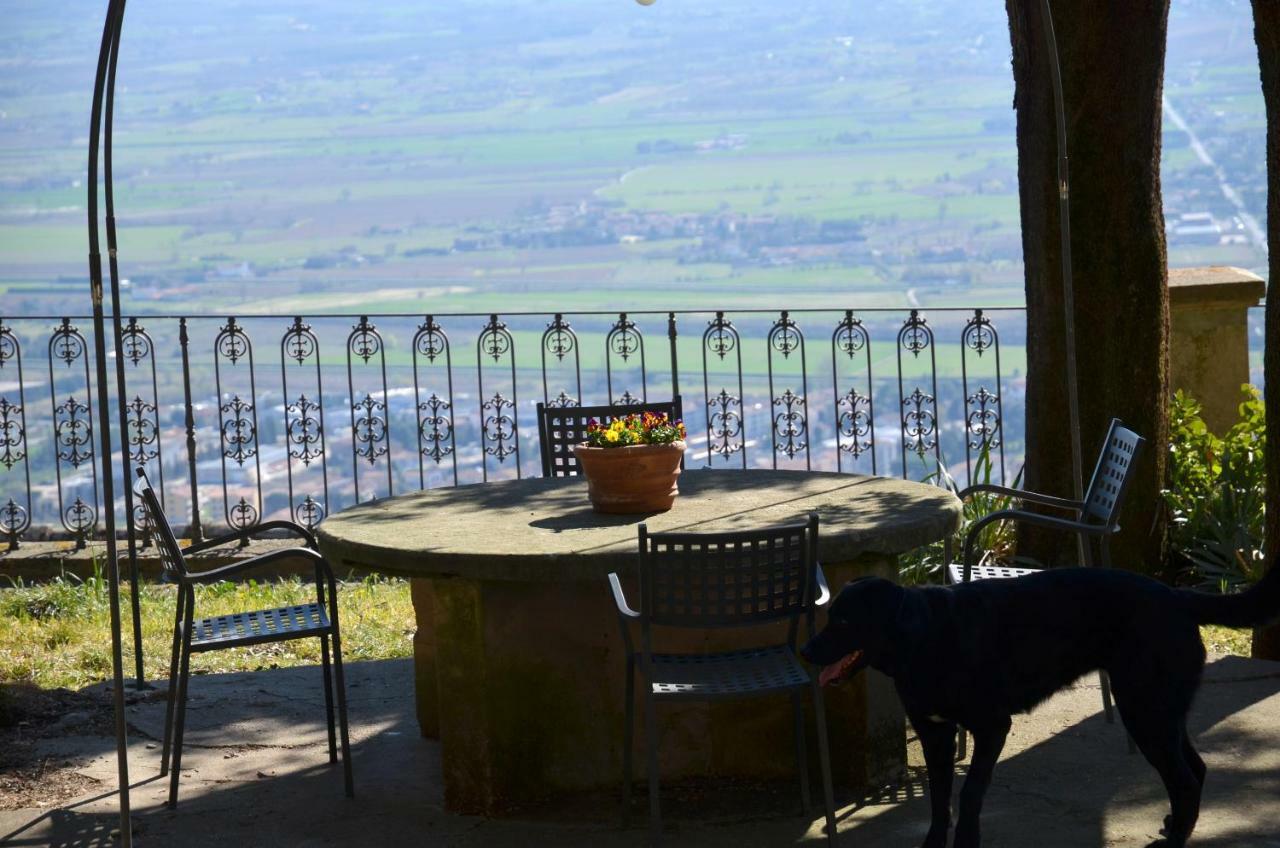 Donnaberarda Apartment Cortona Bagian luar foto