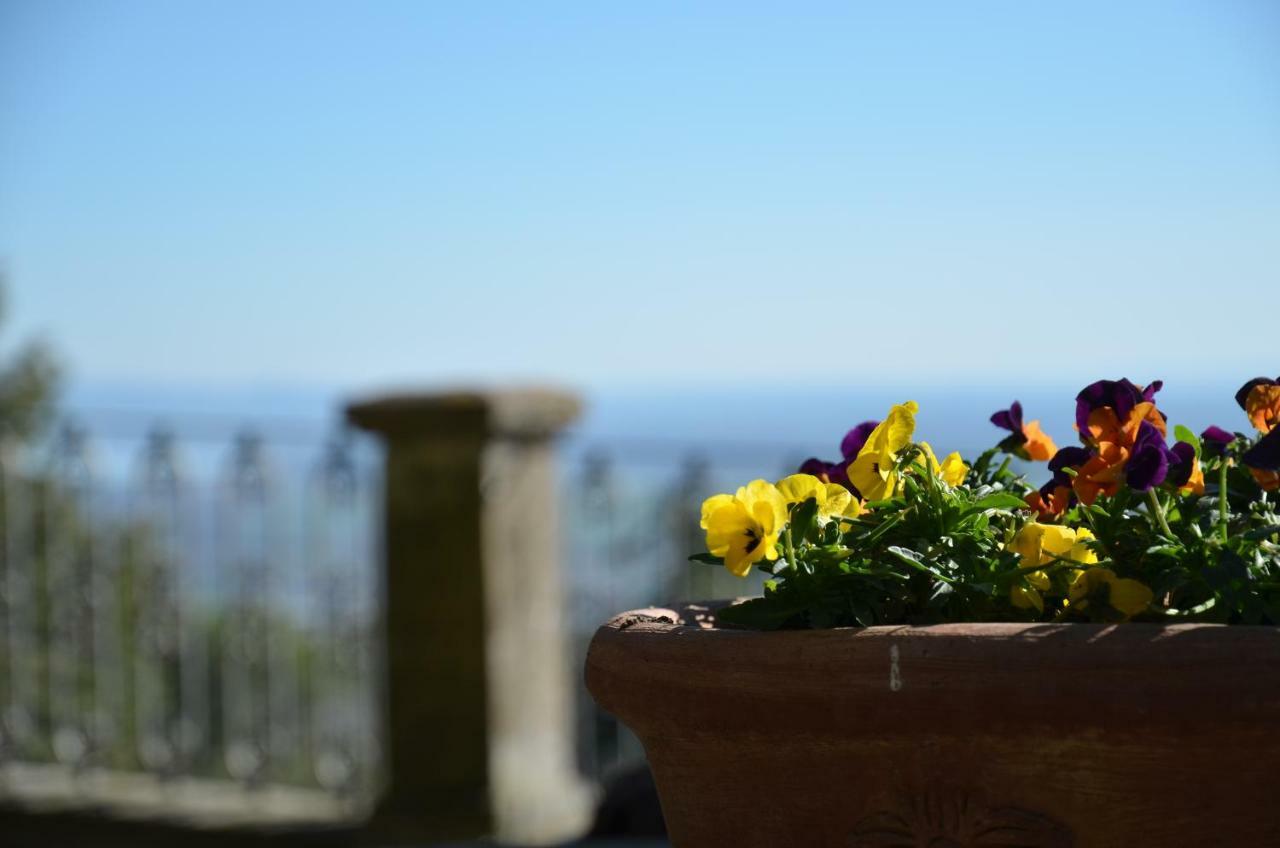 Donnaberarda Apartment Cortona Bagian luar foto